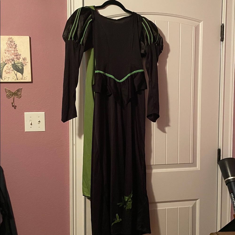 Wicked witch of the west costume